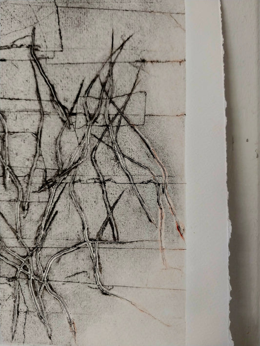 Original Artwork on Paper - Collagraph COL04 Dry Season