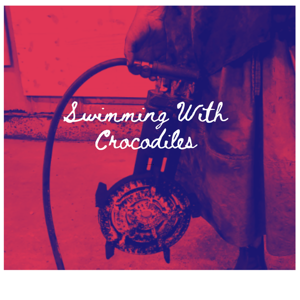 Swimming With Crocodiles